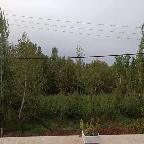تصویر 13 - ویلا استخردار آبگرم سنگی در  باغ بهادران