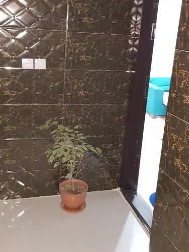 تصویر 10 - خانه مبله آبگون در  عسلویه