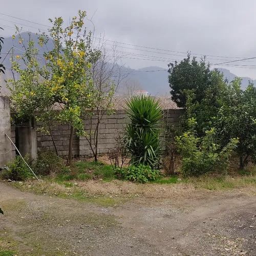 تصویر 4 - سوییت سوئیت روستایی در لیسار