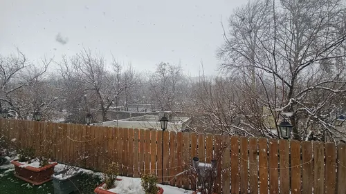 تصویر 14 - کلبه چوبی بافی در شهران در  تهران