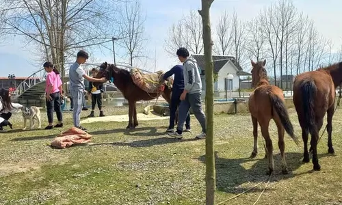 تصویر 2 - کلبه کلبه جنگلی جنگل کنار در چمستان