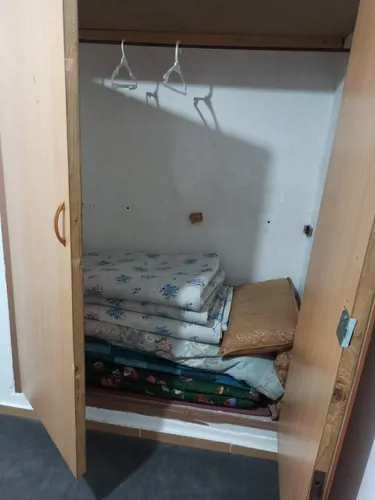 تصویر 11 - خانه مبله گلشن (7) در طبس