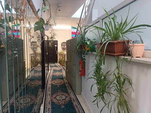 تصویر 7 - سوییت داملا (اتاق 8) در  تبریز
