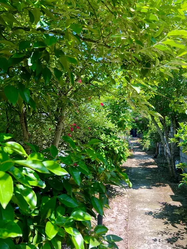 تصویر 28 - کلبه سوئیسی دایی فرامرز در کوچصفهان