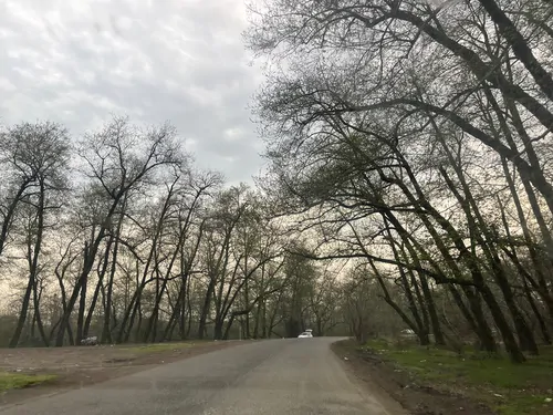 تصویر 15 - ویلا پرنیان در  رضوانشهر