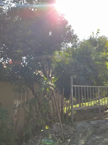 تصویر 12 - ویلا باغ جنگلی سیاهمزگی در شفت