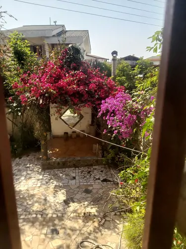 تصویر 2 - ویلا صادقی در چالوس