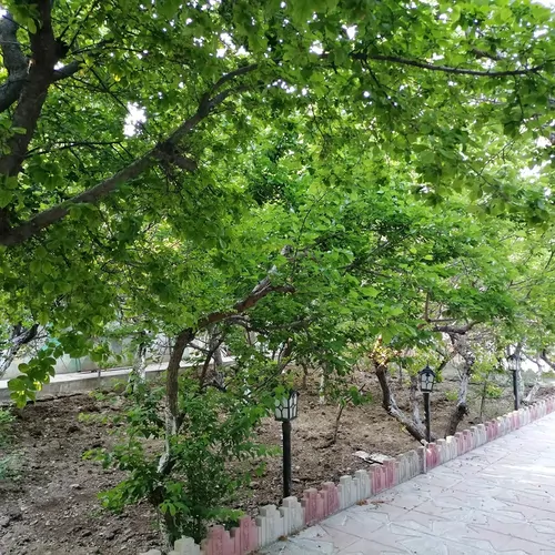 تصویر 3 - ویلا باغ ویلای راد در ملارد 
