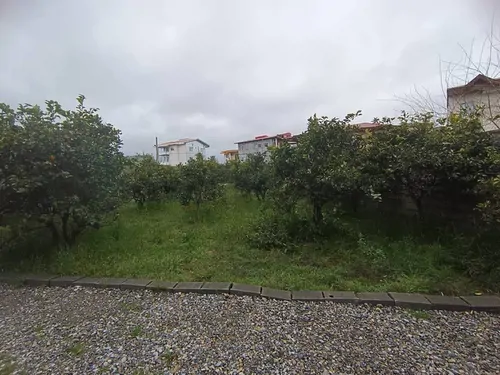 تصویر 3 - ویلا عمارت آراد در رامسر