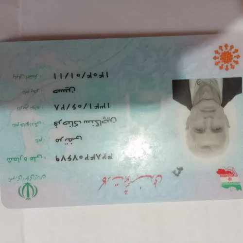 تصویر 2 - کلبه کلبه سوئیسی در انزلی