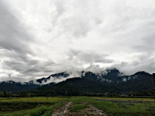 تصویر 2 - سوییت جنگلی مرکیه در ماسال