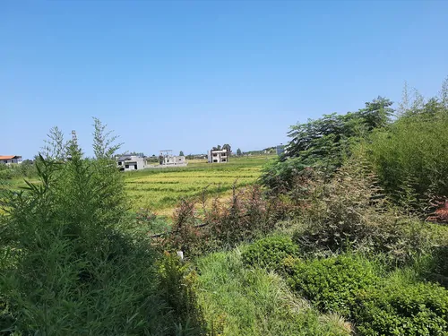 تصویر 28 - ویلا استخردار آبگرم پردیس در رامسر