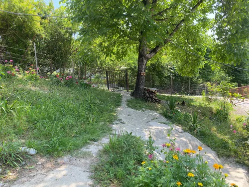 تصویر 20 - ویلا تاسکوه  در  ماسال