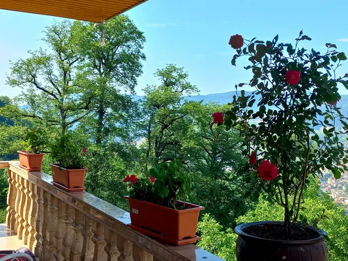 تصویر 26 - ویلا جنگلی افرا در  زیراب