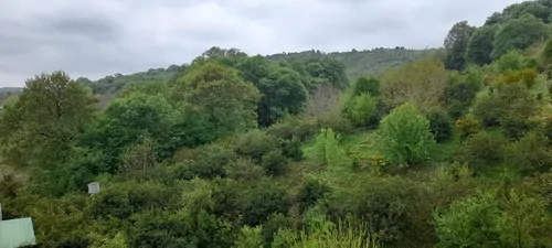 تصویر 14 - کلبه چوبی لفور در  شیرگاه