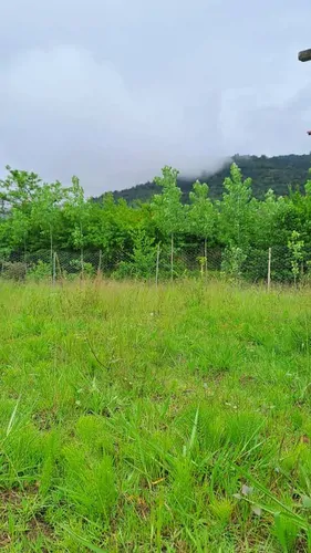 تصویر 13 - کلبه سوییسی یاس در  ماسال