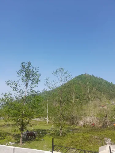 تصویر 4 - کلبه لاکچری در شیرگاه