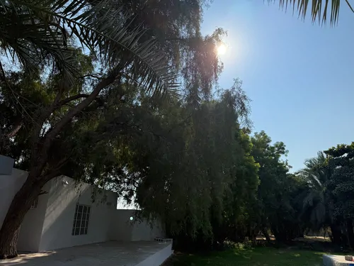 تصویر 11 - اقامتگاه بومگردی نخیل (برهی) با صبحانه رایگان در پارسیان