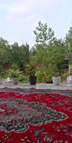 تصویر 4 - ویلا ارغوان کچا در رشت