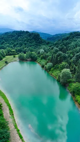 تصویر 15 - کلبه جنگلی مآسو (واحد میجان) در  نور