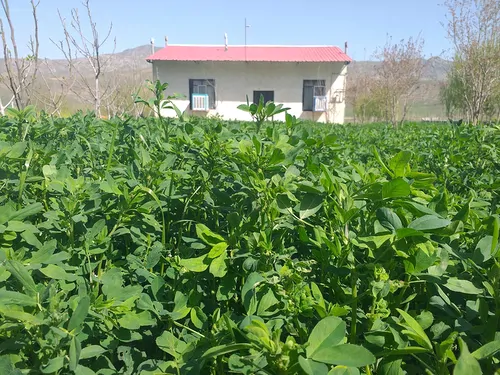 تصویر 11 - اقامتگاه بومگردی آراز (5 تخته) در خدا آفرین