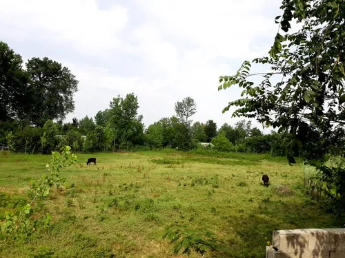 تصویر 25 - کلبه استخردار آبگرم خاتون در  ماسال