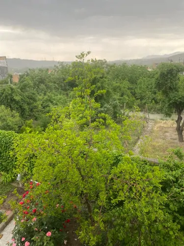 تصویر 20 - آپارتمان مبله فلامینگو در  باغ بهادران