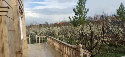 تصویر 21 - ویلا باغ رضا با فوتبال دستی  در  سهیلیه