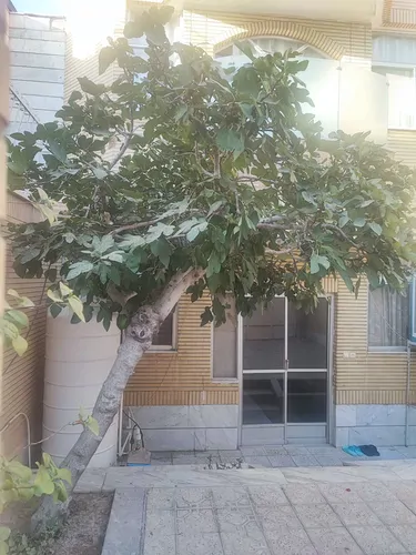 تصویر 11 - خانه ویلایی جی در  اصفهان