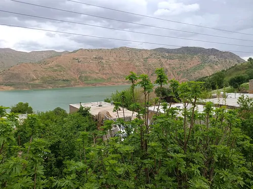 تصویر 13 - خانه ویلایی جنگلی قاسمی در ایذه