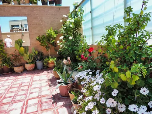 تصویر 4 - آپارتمان روزانه 3 در  اصفهان
