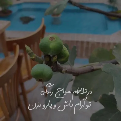 تصویر 8 - اقامتگاه بوم‌گردی عمارت سنتی گلابگیر (واحد8_گلاب)  در  قم