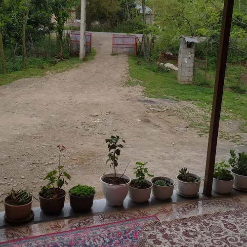 تصویر 2 - ویلا ویلاروستایی در ماسال