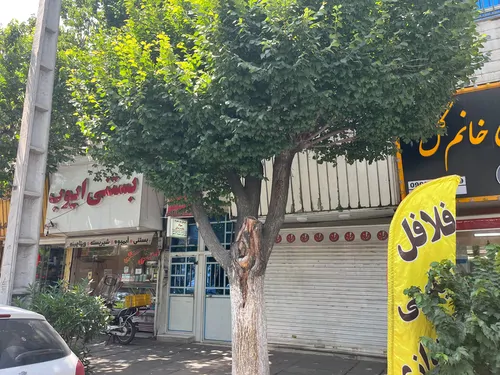 تصویر 11 - خانه مبله بیگجانی در یافت آباد در  تهران