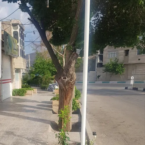 تصویر 13 - خانه مبله چکاوک (نزدیک به آرامگاه حافظ) در  شیراز