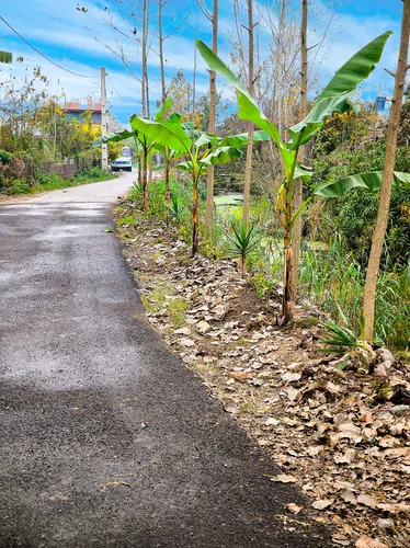 تصویر 14 - کلبه سوییسی لنا در  انزلی