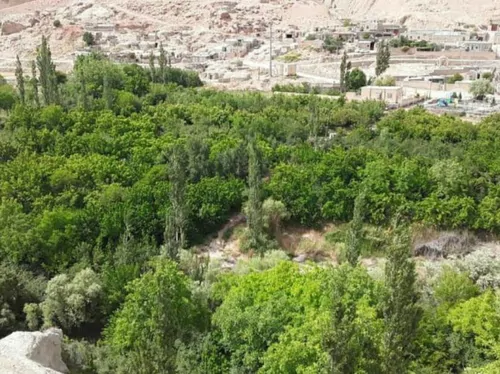 تصویر 11 - اقامتگاه بوم‌گردی شبهای ازنو(1) در  طبس