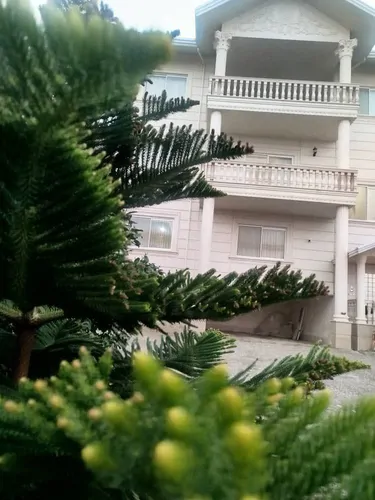 تصویر 18 - ویلا نیلوفر در  رامسر