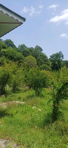 تصویر 20 - ویلا سراکه در ماسال