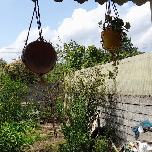 تصویر 3 - خانه سوئیت ایوان دار سر سبز در لاهیجان