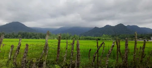 تصویر 9 - ویلا ویلایی فلاح در اسالم