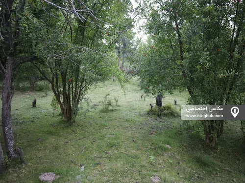 تصویر 17 - ویلا جنگلی مبله دهکده سبز در  نور