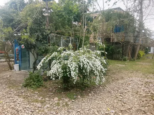 تصویر 8 - سوییت باغ رضوان در  ماسوله 