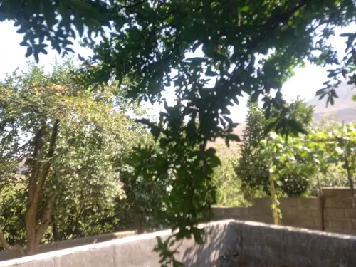 تصویر 5 - کلبه پریان در  صحنه