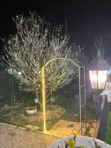 تصویر 11 - کلبه سوئیسی خاتون در  لاهیجان