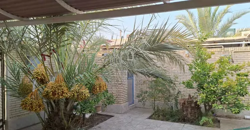 تصویر 12 - خانه دلنشین در  طبس
