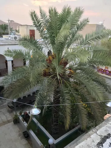 تصویر 3 - اقامتگاه بومگردی نریمان(رزگل) در اوز