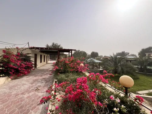 تصویر 12 - اقامتگاه بوم‌گردی صفا آباد (105) با صبحانه رایگان در  قشم