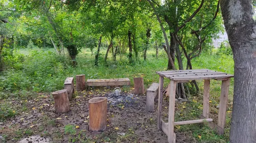تصویر 14 - کلبه  سوئیسی آراد در  ماسال