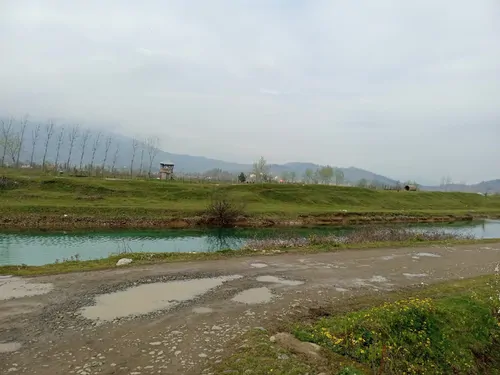 تصویر 4 - ویلا احسان در شفت